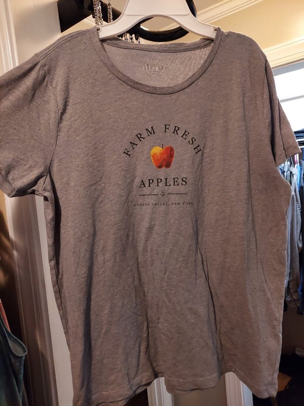 J. Crew Collectors Tee Farm Fresh Apples Graphic Tee L